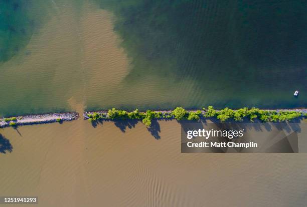 dirty mud flowing into blue lake - algue bleue photos et images de collection