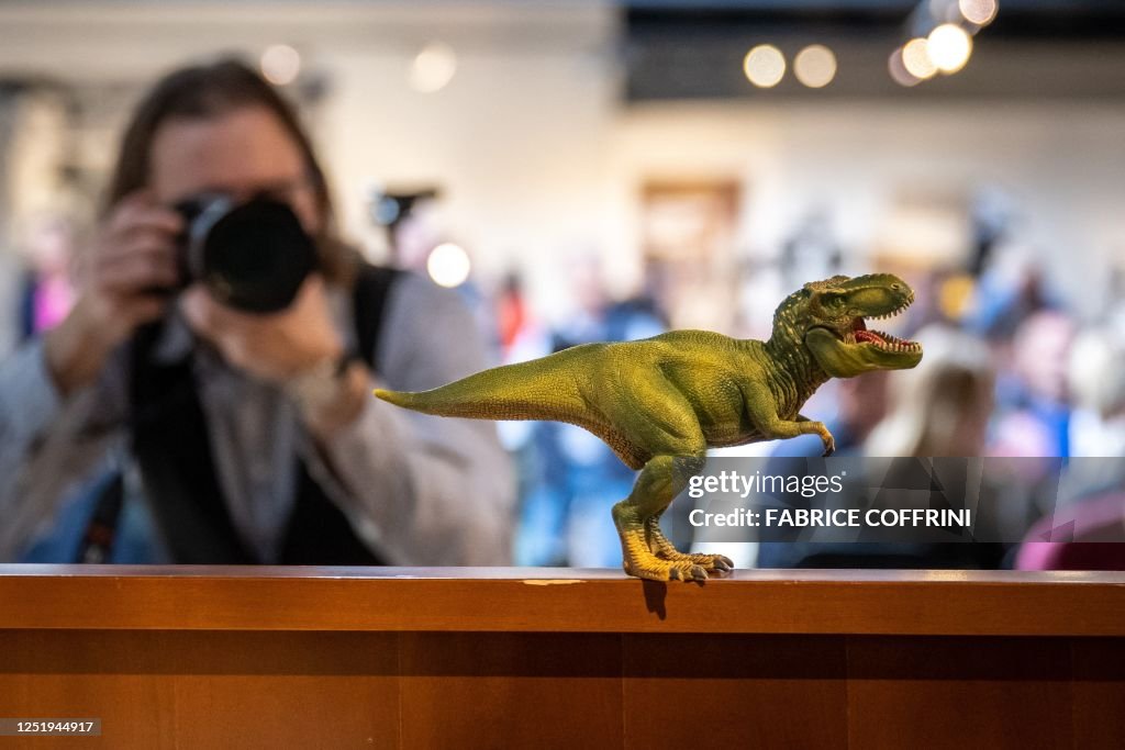 SWITZERLAND-PALAEONTOLOGY-AUCTION-TREX