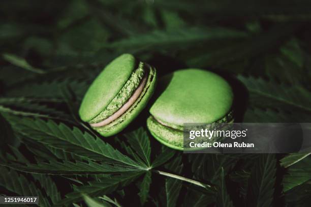 green tasty macaroons lie on the background - cannabis cuisine ストックフォトと画像