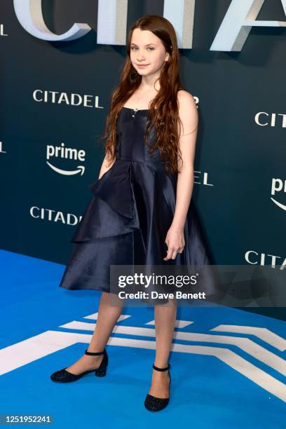 Springall 100 Springall Stock Photos, High-Res Pictures, and Images - Getty Images