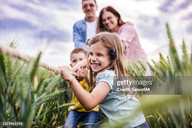 glückliche großeltern ziehen mit enkelkindern ein seil - tauziehen stock-fotos und bilder