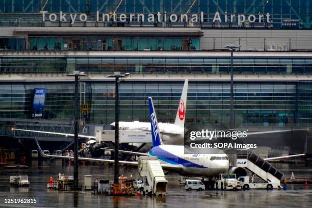 And ANA planes are waiting at Haneda Airport in Tokyo.