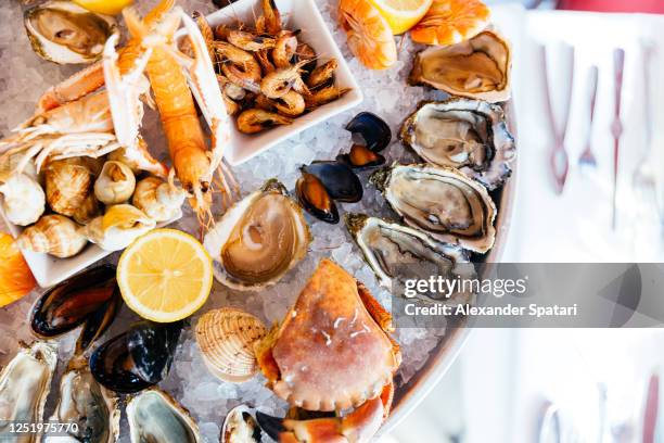 directly above view of seafood platter - fische und meeresfrüchte stock-fotos und bilder