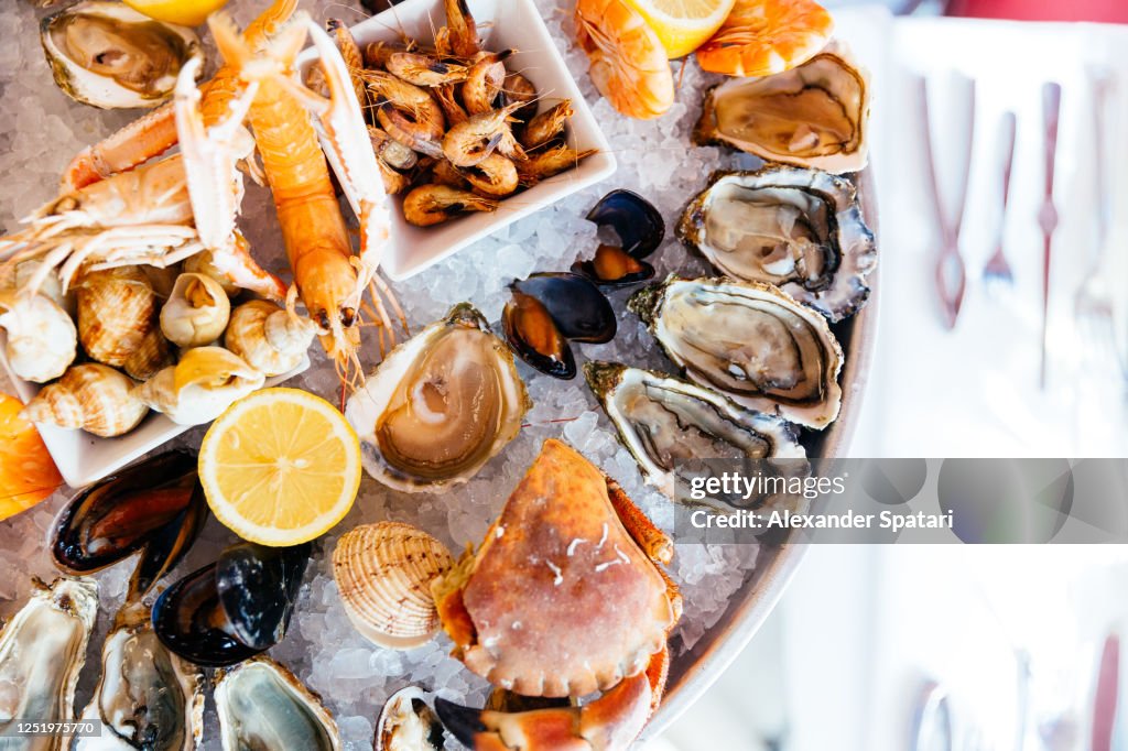 Directly above view of seafood platter