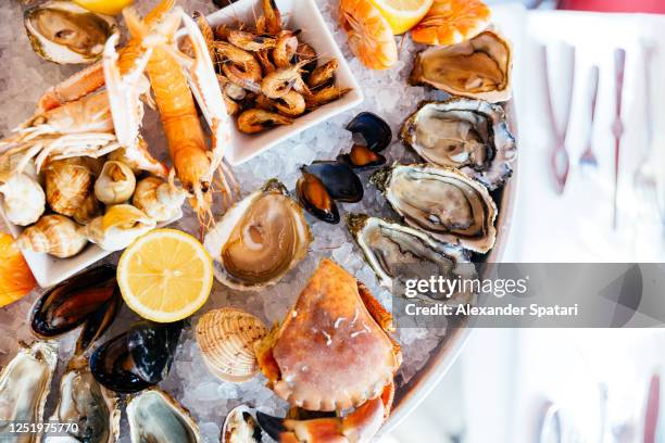 directly above view of seafood platter - vis en zeevruchten stockfoto's en -beelden