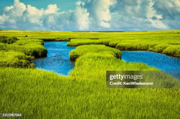 salt marsh bei mid tide - nun river estuary stock-fotos und bilder