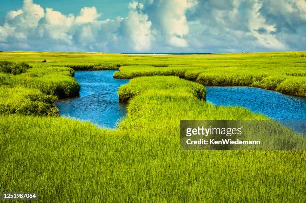 salt marsh at mid tide - massachusetts landscape stock pictures, royalty-free photos & images