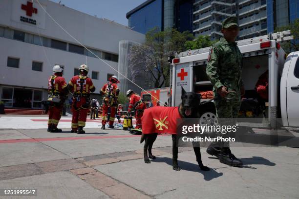 Members of the Mexican Red Cross and the army with canine binomial, participate during the First National Drill 2023 in Mexico, on april 19 where...