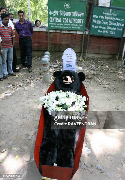 Curious bystanders look on as a member of 'People for the Ethical Treatment of Animals' dressed as a dead Bear lies in an open coffin during a...