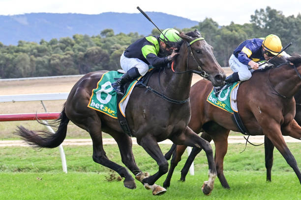 Way Up High ridden by Dean Holland wins the Ords Motorcycles Maiden Plate at Ararat Racecourse on April 20, 2023 in Ararat, Australia.