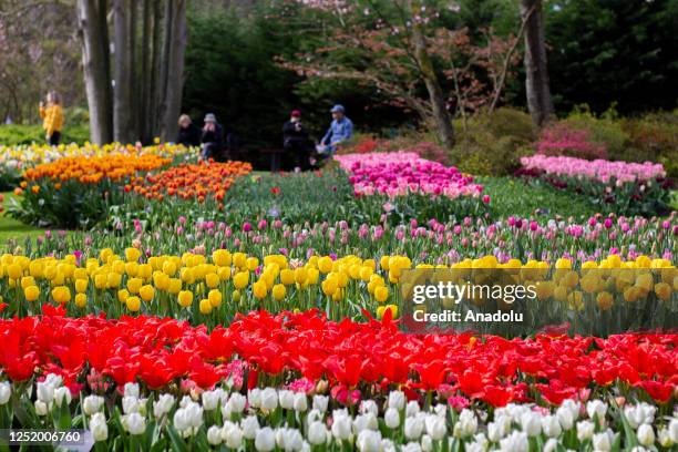 People tour the Keukenhof also known as Garden of Europe as it opened its doors to visitors for the 74th time in Lisse, The Netherlands on April 15,...