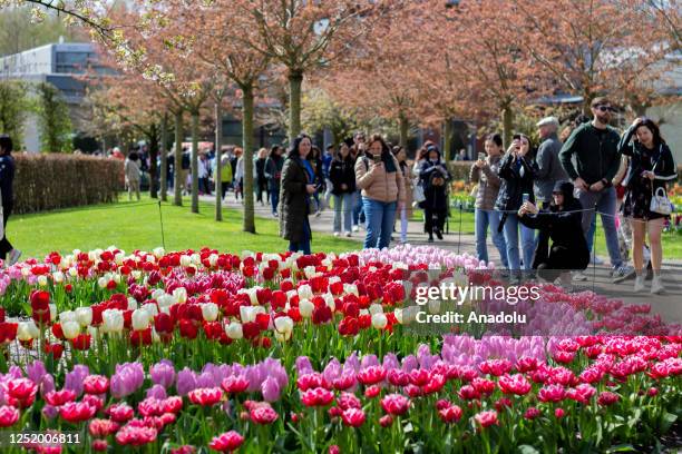 People tour the Keukenhof also known as Garden of Europe as it opened its doors to visitors for the 74th time in Lisse, The Netherlands on April 15,...