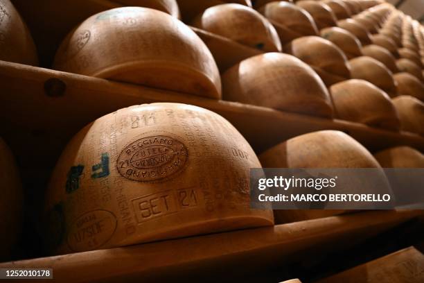 Wheels of Parmigiano Reggiano cheese are pictured in the ripening department of the Casearia Castelli, member of Lactalis Group, at the Caseificio...