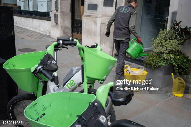 As spring temperatures climb to warmer afternoons, a staff member waters plants using a green watering can alongside Lime rental bikes that have...