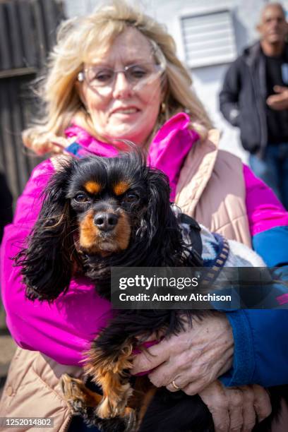 Henry, the Cavalier King Charles Spaniel joined mourners gathered outside the Walnut Tree Inn in Aldington to pay respects to Paul O'Grady, the much...