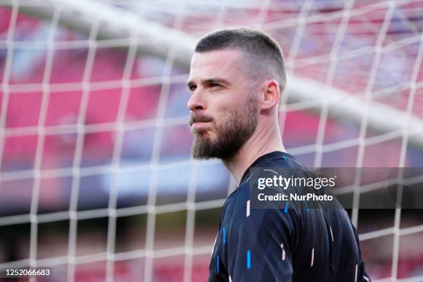 David de Gea goalkeeper of Manchester United and Spain during the UEFA Europa League quarterfinal second leg match between Sevilla FC and Manchester...