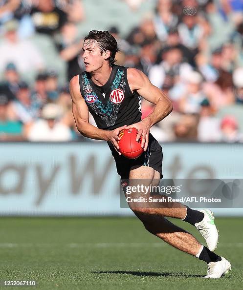 Connor Rozee Parents Connor Rozee of the Power during the 2023 AFL Round 06 match between ...