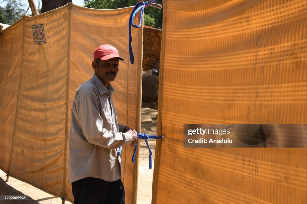 Zoo staff stands near the dead body of 17 year-old ailing elephant