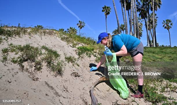 Brittney Crawford helps pick up trash at Venice Beach for Earth Day on April 22 in Los Angeles, California. - Beach and river cleanups are being held...