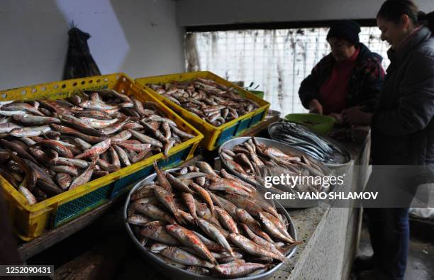 Georgian women sell red mullet fish at a market in the Georgian Black Sea port city of Batumi on January 14, 2010. Presidents and ministers of ten...