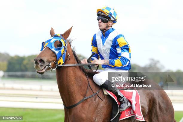 Darra Linen ridden by Zac Spain returns to the mounting yard after winning the East Gippsland Asset Protection Maiden Plate at Sale Racecourse on...