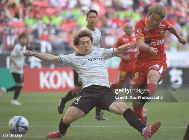 Kensuke Nagai of Nagoya Grampus shoots the ball under the challenge from Koki Tachi of Shonan Bellmare during the J.LEAGUE Meiji Yasuda J1 9th Sec....