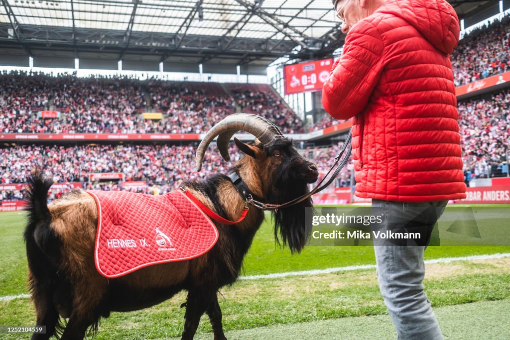 1. FC Koeln v Eintracht Frankfurt - FLYERALARM Frauen-Bundesliga