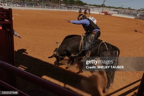 Justin's First Bull Ride Justin Willis tries to stay on a bucking bull during the bull riding ...
