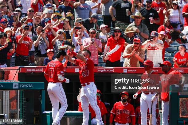 Los Angeles Angels center fielder Mike Trout places a Samurai Warrior hat on designated hitter Shohei Ohtani after Ohtani hit a solo home run in the...