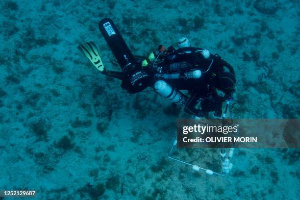French diver Hugo Bischoff, CNRS scientist, takes pictures of the sea bed under the water to study the marine forest life, during a two and a half...