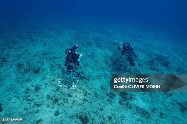 French divers Hugo Bischoff, CNRS scientist, and Emmanuel Gouin, doctor and safety diver, take pictures of the sea bed under the water to study the...
