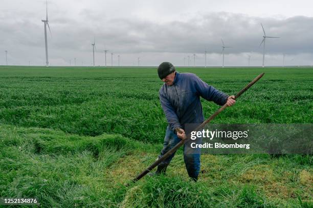 Farmer uses a scythe to cut grass in a field, near wind turbines at the Fantanele-Cogealac wind farm, operated by CEZ group, beyond a farmer in...