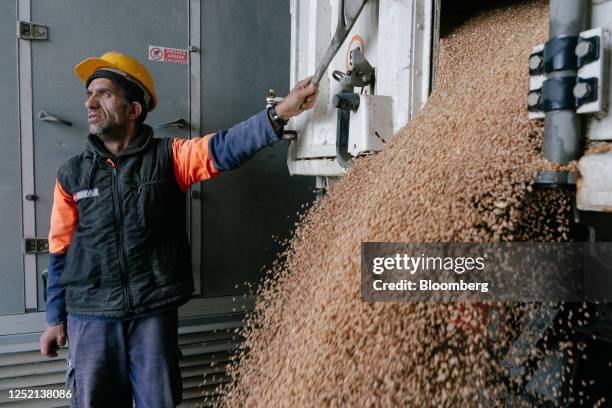 Worker unloads grain from a truck at the Port of Constanta, Romania, on Thursday, April 20, 2023. Wheat edged higher, snapping three days of losses,...