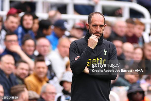 Cristian Stellini the caretaker manager / head coach of Tottenham Hotspur during the Premier League match between Newcastle United and Tottenham...