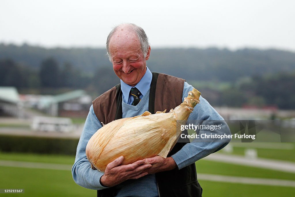 Visitors Enjoy The Autumn Flowers At The Harrogate Flower Show