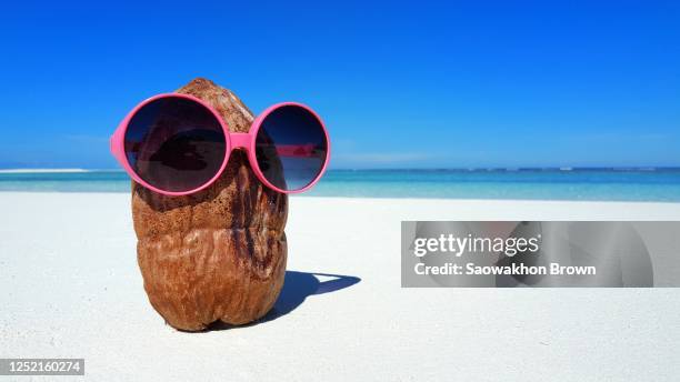 travel fun concept with coconut wear sunglasses on beach in maldives - coco brown imagens e fotografias de stock