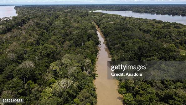 The Amazon Rainforest's Rich Biodiversity in Peril as Deforestation Ravages the Land The Amazon Rainforest's Rich Biodiversity in Peril as Deforestation Ravages the Land