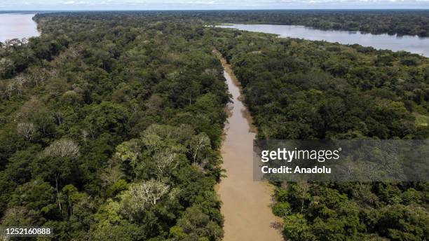 General view of the Amazon River in Amazonas, Colombia, on April 04, 2023. Deforestation is taking a significant toll on the bird population in the...