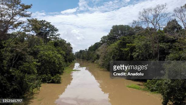 General view of the Amazon River in Amazonas, Colombia, on April 04, 2023. Deforestation is taking a significant toll on the bird population in the...