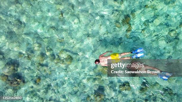 top view of couple swim and snorkel on crystal emerald water of shallow turquoise lagoon, watching sea life on coral reefs and rocks on sunny day - fiji stockfoto's en -beelden