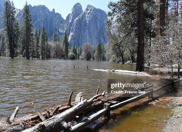 Once a meadow, now a lake from the flooded Merced River, in Yosemite Valley, on April 8, 2018.