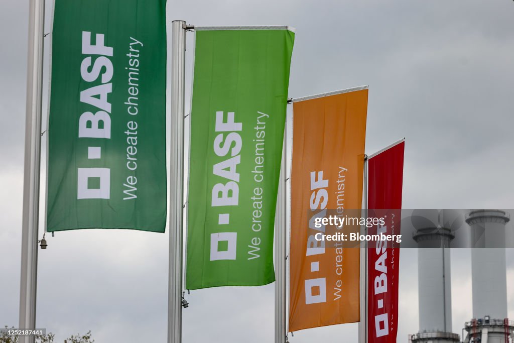 The BASF SE Chemical Plant Ahead Of Company's Earnings