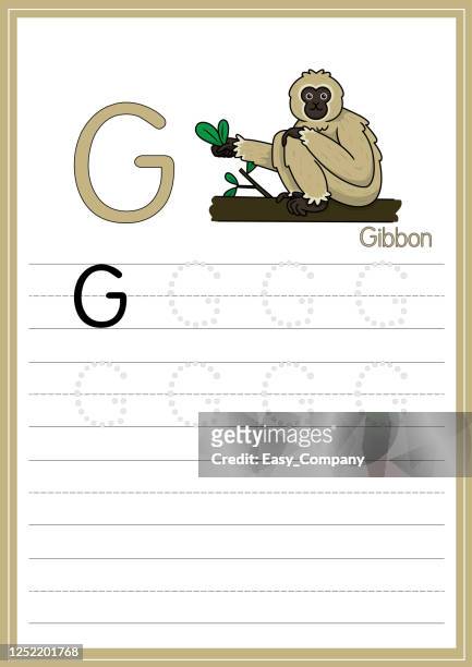 vektor-illustration von gibbon isoliert auf weißem hintergrund. mit dem großbuchstaben g für die verwendung als lehr- und lernmedium für kinder, um englische buchstaben zu erkennen oder für kinder zu lernen, briefe zu schreiben verwendet, um zu hause  - mandrill stock-grafiken, -clipart, -cartoons und -symbole