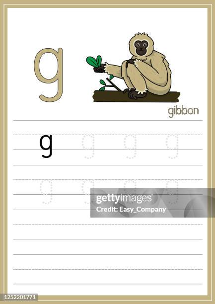 ilustraciones, imágenes clip art, dibujos animados e iconos de stock de ilustración vectorial de gibbon aislada sobre un fondo blanco. con la letra g en minúsculas para su uso como medio de enseñanza y aprendizaje para que los niños reconozcan las letras en inglés o para que los niños aprendan a escribir letras se utiliz - mandrill