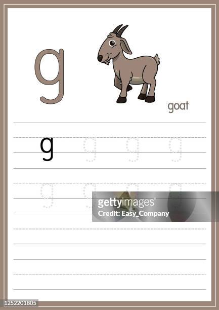 vector illustration of goat isolated on a white background. with the lower case letter g for use as a teaching and learning media for children to recognize english letters or for children to learn to write letters used to learn at home and school. - dairy goat stock illustrations