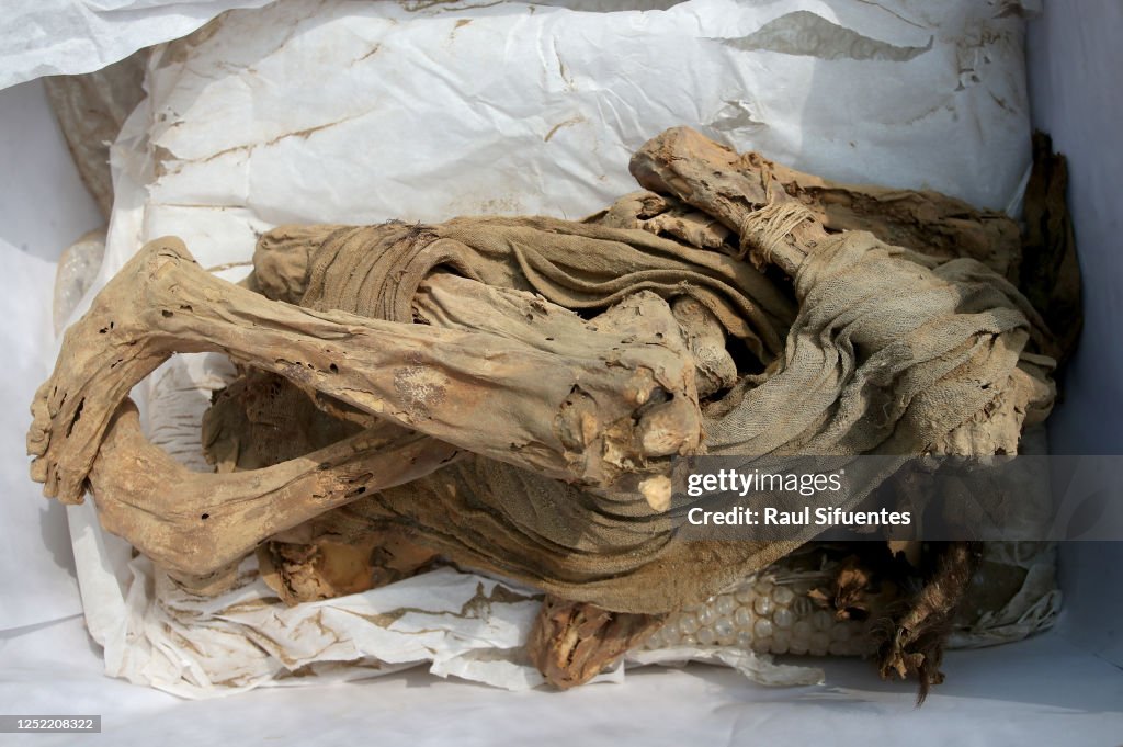 Adolescent Pre-Inca Times Mummy Found In Peru
