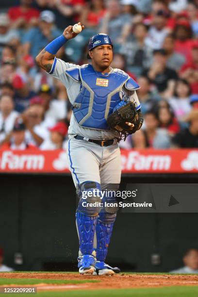 Kansas City Royals catcher Salvador Perez looks on during the MLB game between the Kansas City Royals and the Los Angeles Angels of Anaheim on April...