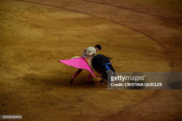 Spanish bullfighter Pablo Aguado performs a pass on a bull with a capote during the Feria de Abril bullfighting festival at La Maestranza bullring in...