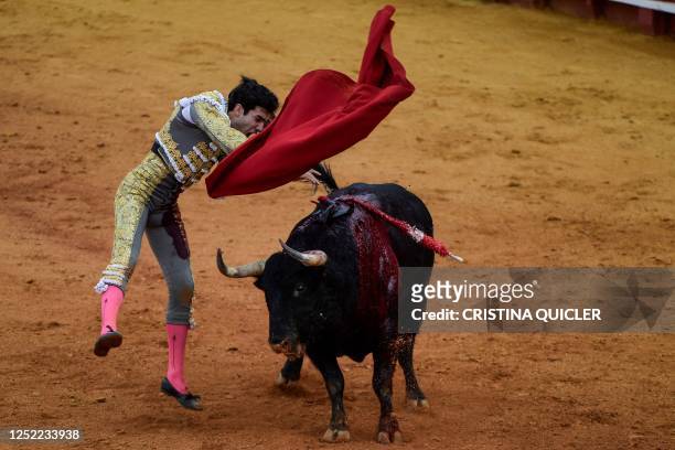 Spanish bullfighter Tomas Rufo performs the final thrust or "estocada" on a bull during the Feria de Abril bullfighting festival at La Maestranza...