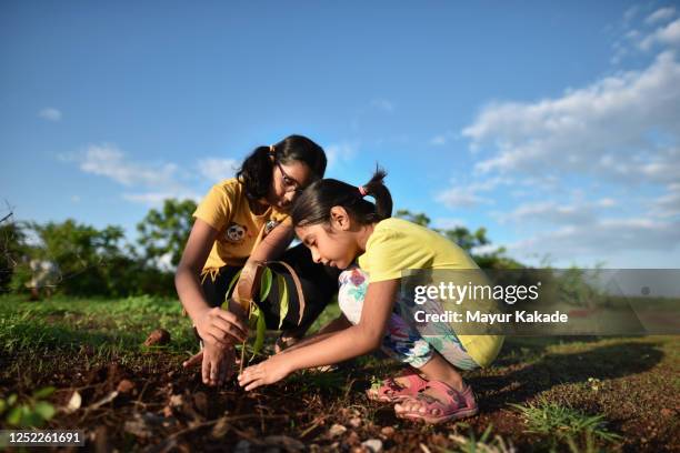 sisters planting a mango tree plant - mango tree stock-fotos und bilder